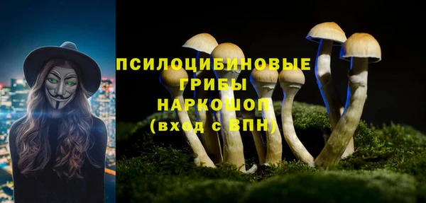 соль курить ск Армянск
