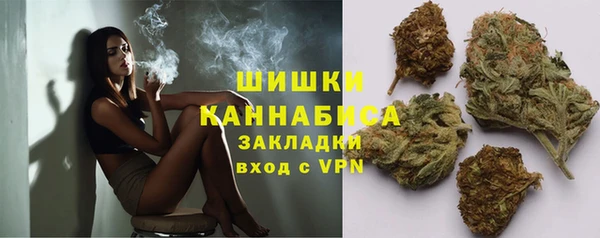 шишки Аркадак