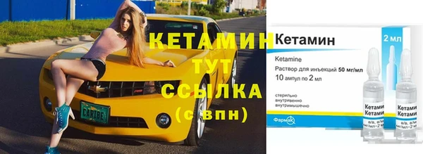 шишки Аркадак