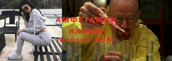 шишки Аркадак