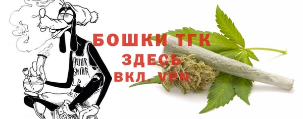 прущая мука Арсеньев