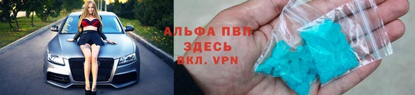 шишки Аркадак
