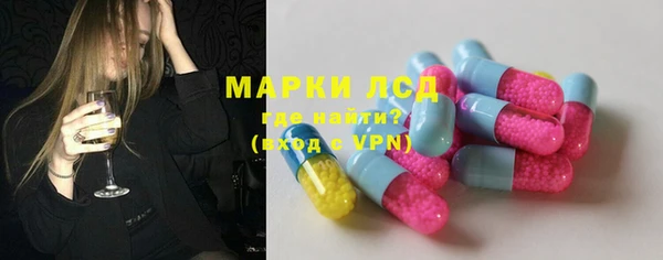 шишки Аркадак