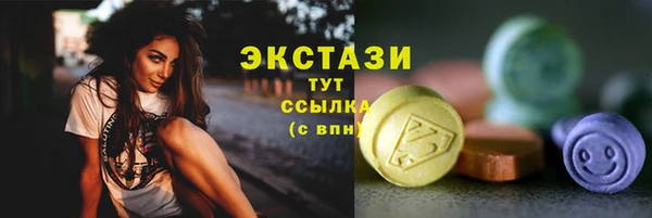 шишки Аркадак