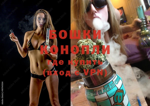 шишки Аркадак