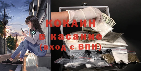шишки Аркадак