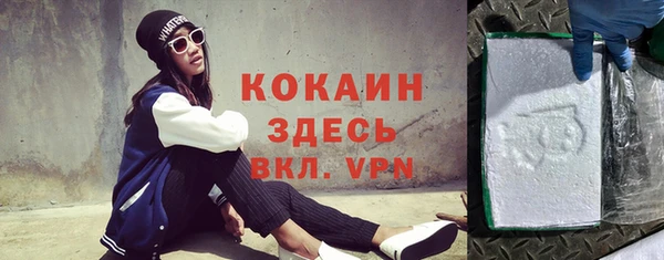 шишки Аркадак