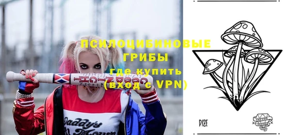 прущая мука Арсеньев